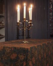 Indlæs billede til gallerivisning Dug Myrica